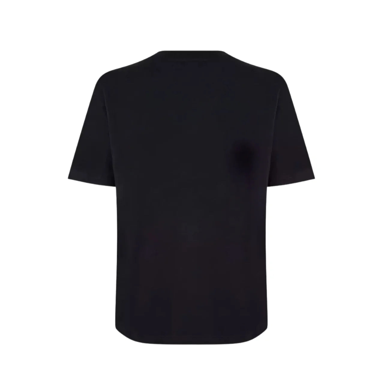 Camiseta Dior x Stone