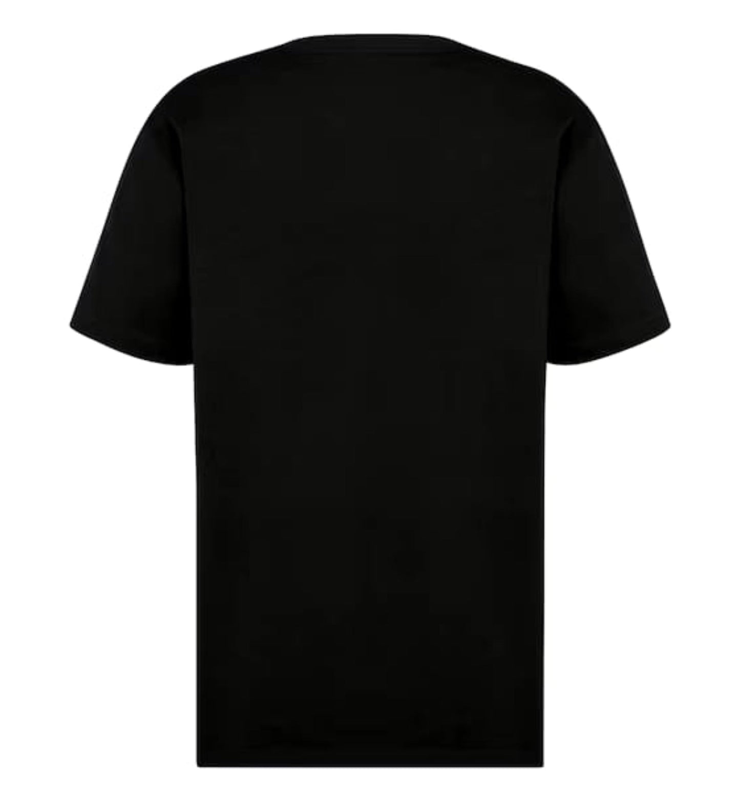 Camiseta Dior